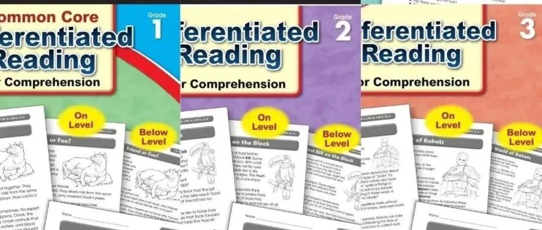 差异化阅读练习册 Differentiated Reading for Comprehension