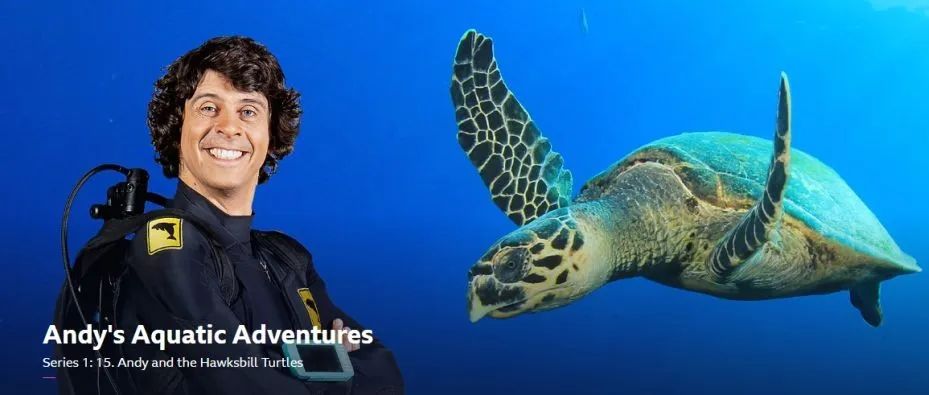 全球孩子都在追的BBC儿童科普剧~带你探索不可思议的水世界