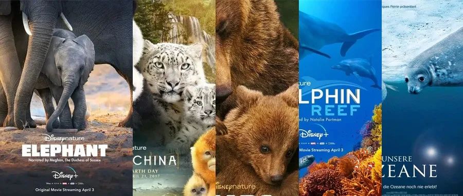 适合给孩子看的迪士尼自然纪录片，还有配套练习册哦！