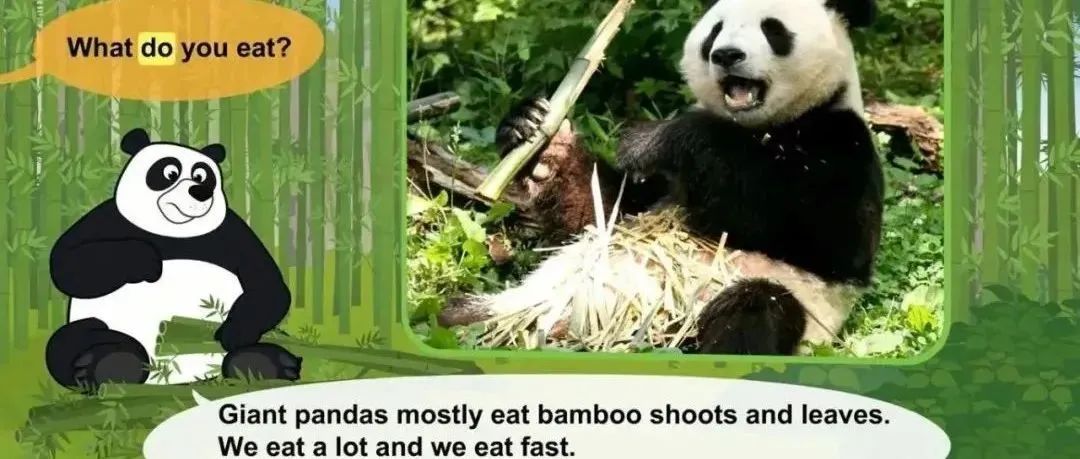 不容错过的儿童英语科普动画《Meet the Animals》