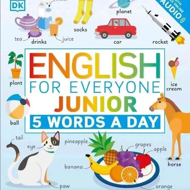 DK精品 每天学5个单词 English for Everyone Junior – 5 Words a Day