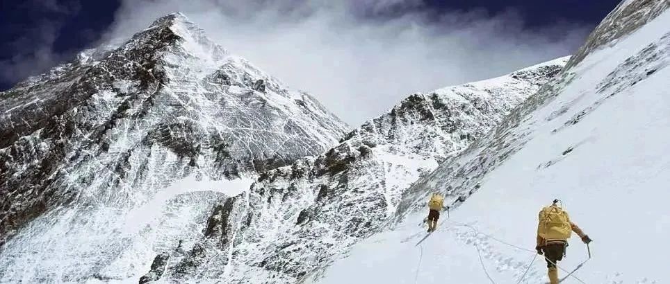 适合中国孩子看的科普启蒙双语纪录片，国家地理小探险家双语百科
