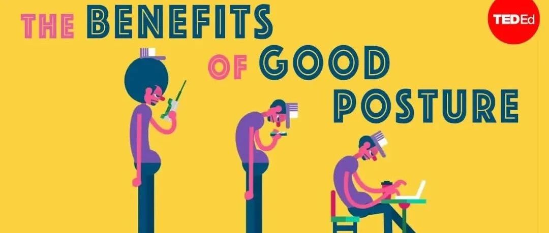 TED为孩子制作的150多集科普动画短片，关于人体的奥秘都在这！