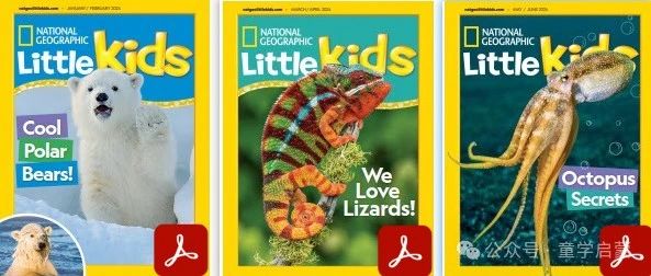 2024国家地理杂志幼儿版~科学兴趣、英语阅读全搞定~