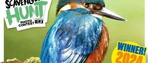 稀缺资源|2024原版青少年科普英文杂志~上海中考推荐高品质读物