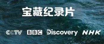 强烈推荐这几部宝藏纪录片，假期带孩子刷起来！