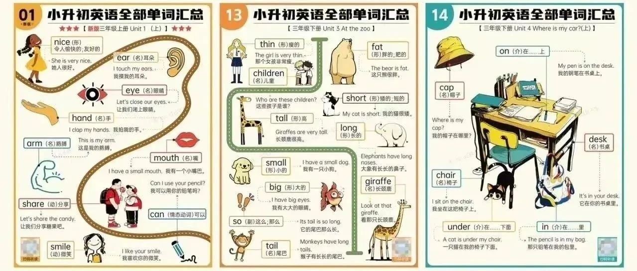 全网爆火的《过目不忘单词海报》来了!小升初词汇全覆盖