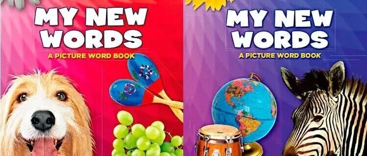 美国加州小学高颜值词汇启蒙教材-My new words